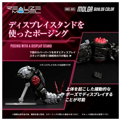 REALIZE MODEL RMZ-005 天蚕 盖洛斯配色