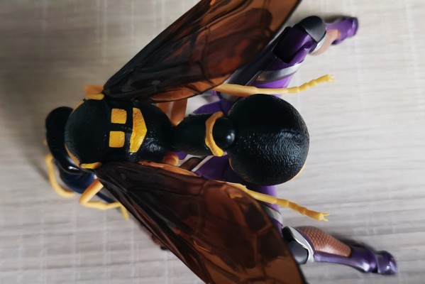 生物大图鉴 胡蜂