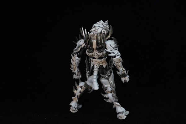 S.I.C. 假面骑士555 假面骑士555