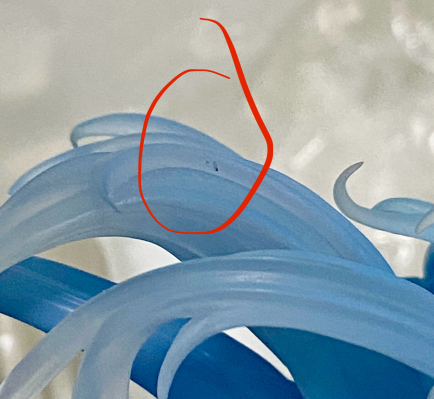 新世纪福音战士新剧场版：终 凌波零 长发版