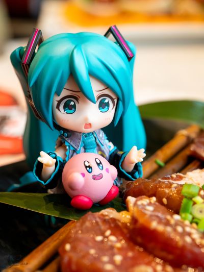 喔！好多肉！！✧*｡٩(ˊᗜˋ*)و✧*｡