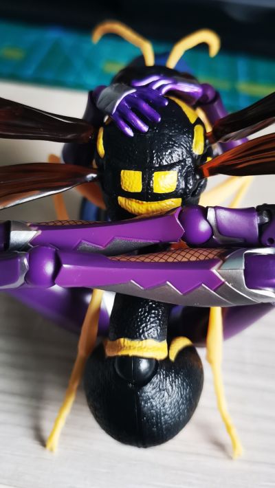 生物大图鉴 胡蜂