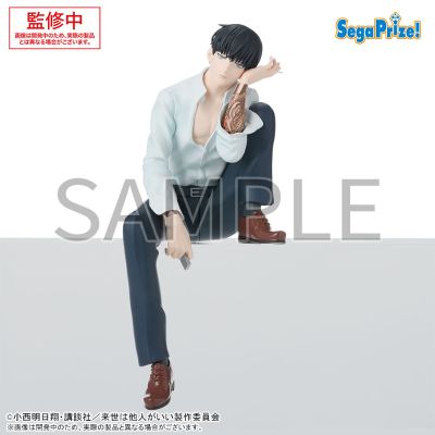 唯愿来世不相识动画版 小坐系列奖品人偶 “鸟苇翔真”