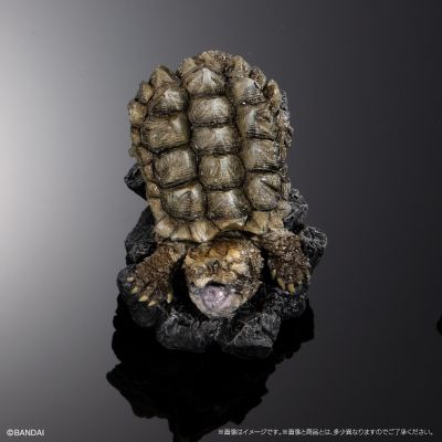 生物大图鉴 迷你系列 龟01