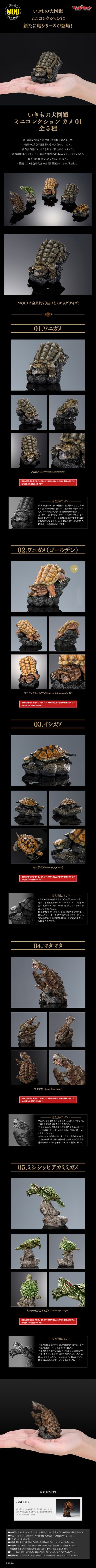 生物大图鉴 迷你系列 龟01