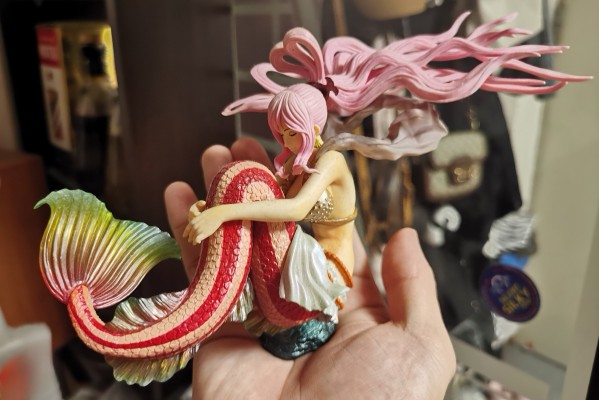 SCultures 航海王 白星