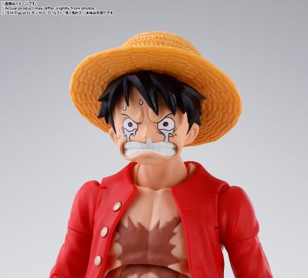 S.H.Figuarts 萨波 -革命军参谋总长-