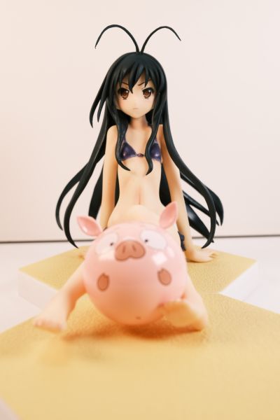 BEACH QUEENS 加速世界 黒雪姫 电撃スペシャルVer. 水着Ver.