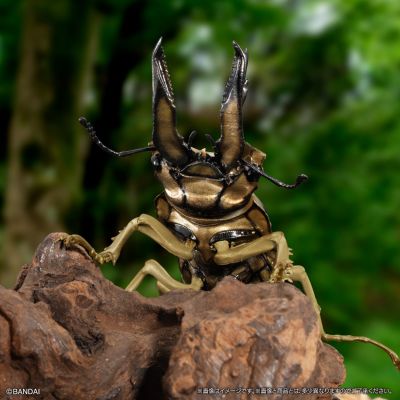 生物大图鉴 锹甲09