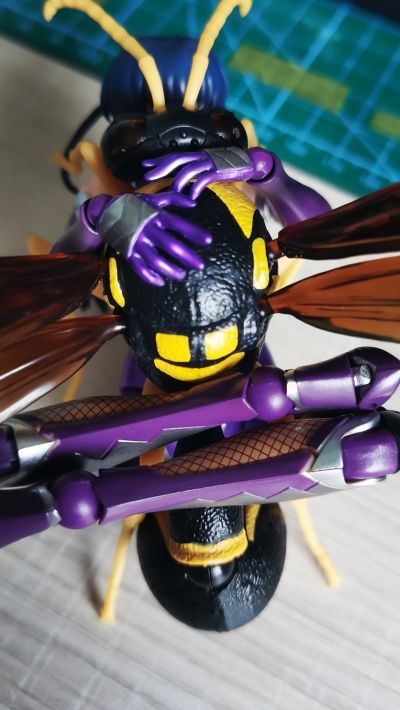 生物大图鉴 胡蜂