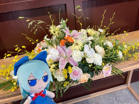 东方布偶系列 42 琪露诺 ver.1.5 毛绒绒琪露诺