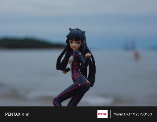 プレミアムプライズ 罪恶皇冠 鸫 