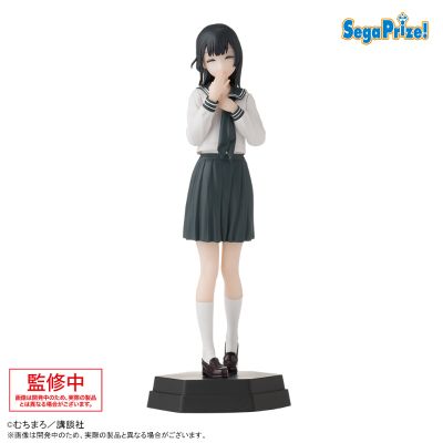 学生会也有洞！ Desktop×Decorate Collections　“照井有栖”