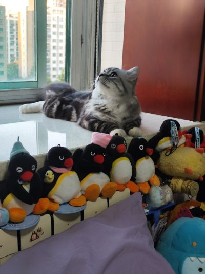 S.H.Figuarts 孙悟空-龙珠大魔-