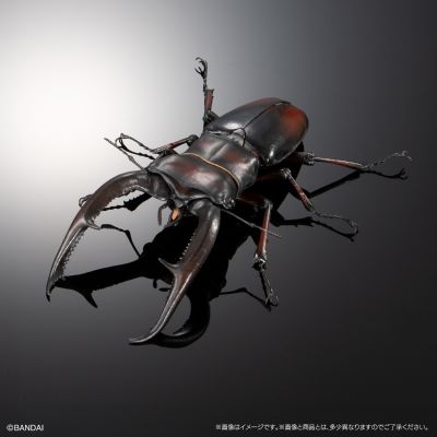 进化生物大图鉴 长颈鹿锯锹+巨颚叉角锹形虫 展示架套装