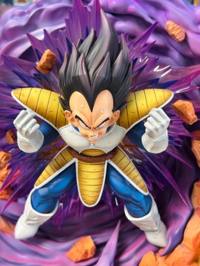 龙珠Z 贝吉塔 Dragon Ball Selection 