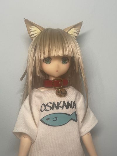 我家的猫是可爱女孩 黄豆粉 普通版