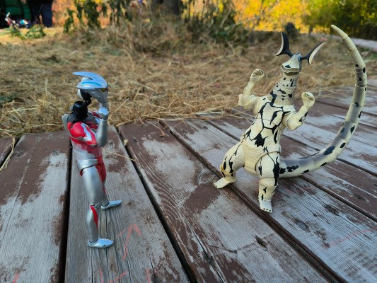 S.H.Figuarts 艾雷王