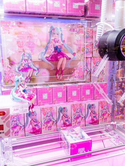 压泡面 初音未来 花仙子 波斯菊