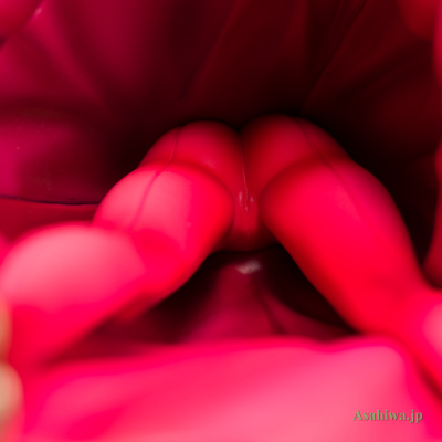 火焰之纹章：英雄 维罗妮卡