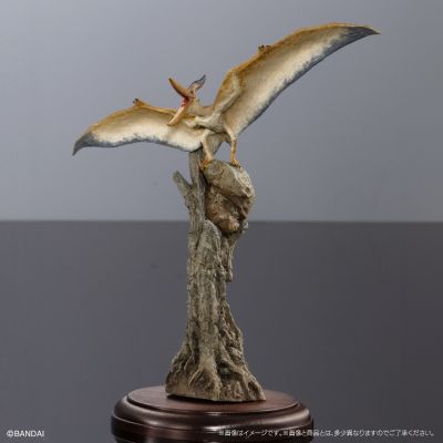 生物大图鉴 陈列模型系列 恐龙3