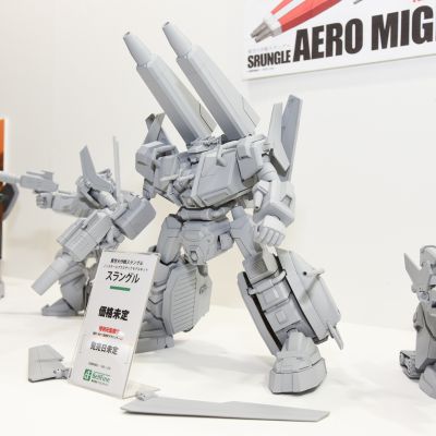 亚空大作战斯兰格尔 斯兰格尔