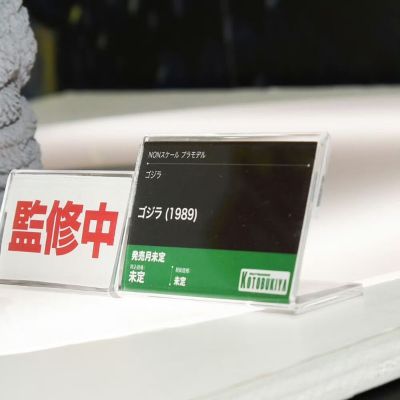 极兽造型 哥斯拉（1989）