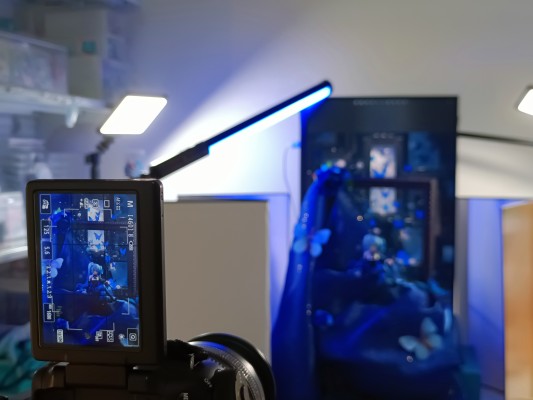 压泡面 初音未来 花仙子 蓝玫瑰