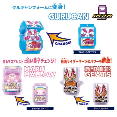 DX骑士饱藏套装02