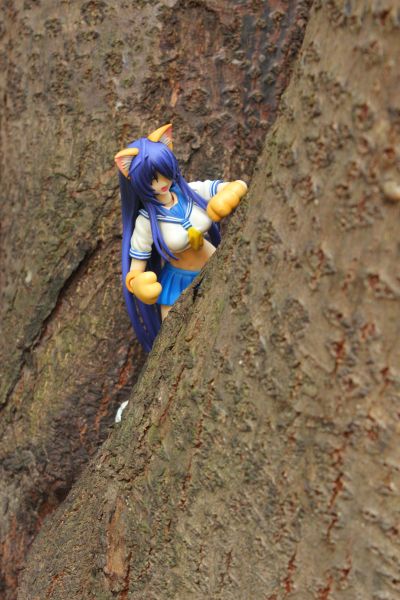 Figutto！ 一骑当千XX 关羽云长 -ネコミミver.- 可动手办