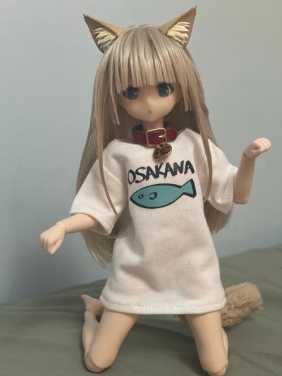 我家的猫是可爱女孩 黄豆粉 普通版