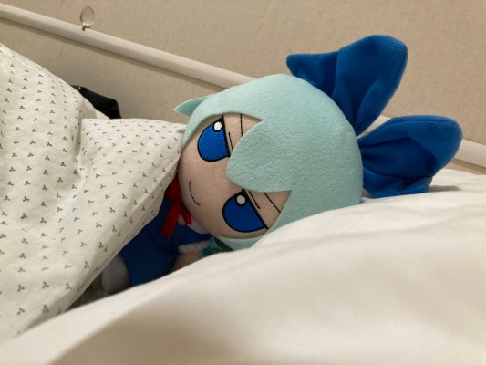 东方布偶系列 42 琪露诺 ver.1.5 毛绒绒琪露诺