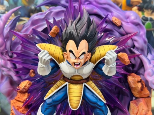 龙珠Z 贝吉塔 Dragon Ball Selection 