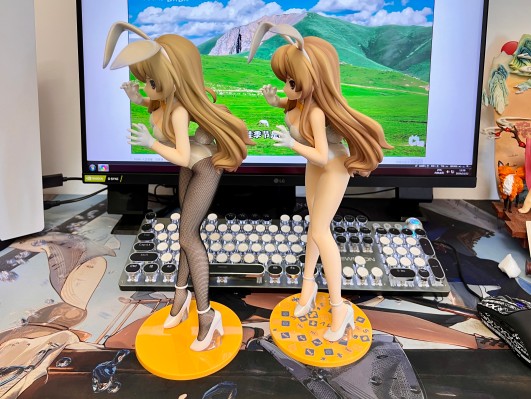 B-style 龙与虎 逢坂大河 裸腿兔女郎