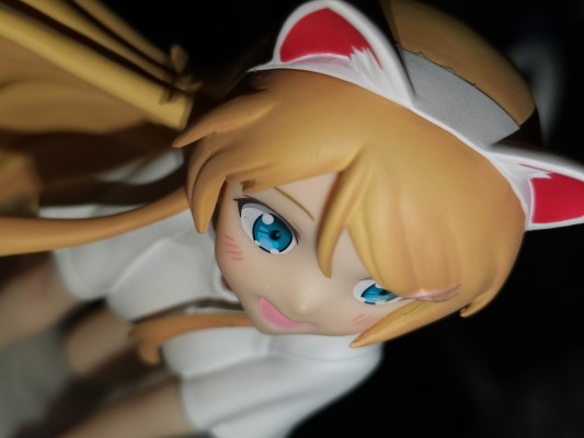 我的妹妹哪有这么可爱。 高坂桐乃～猫耳～