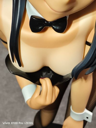 B-style 不要欺负我，长瀞同学 第二季 长瀞同学 兔女郎