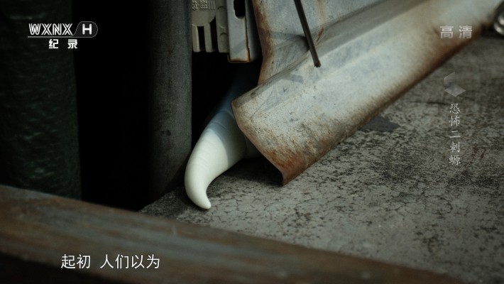 奥特怪兽系列 204 加巴顿