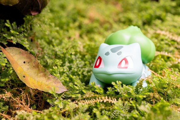 宝可梦拼装模型系列 快快拼 13 妙蛙种子