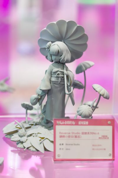 菇娘系列No.6 红盖小皮伞