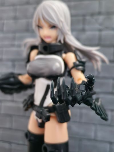 VLOCKer's FIORE 龙血 与 星云