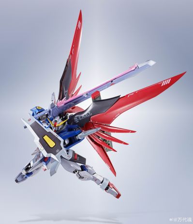 METAL ROBOT魂 ＜机动战士系列＞ 命运高达 [Re:Coordinate]