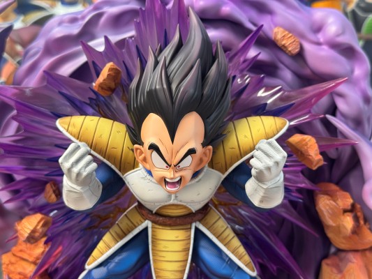 龙珠Z 贝吉塔 Dragon Ball Selection 