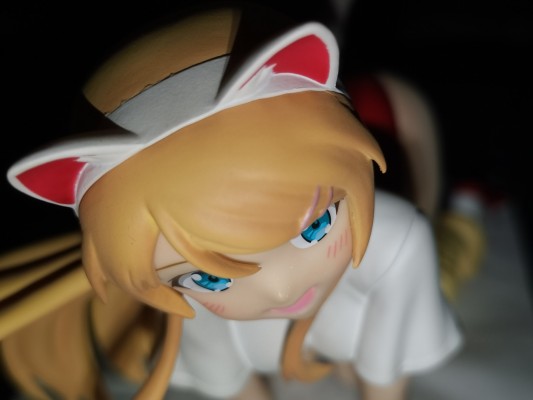 我的妹妹哪有这么可爱。 高坂桐乃～猫耳～