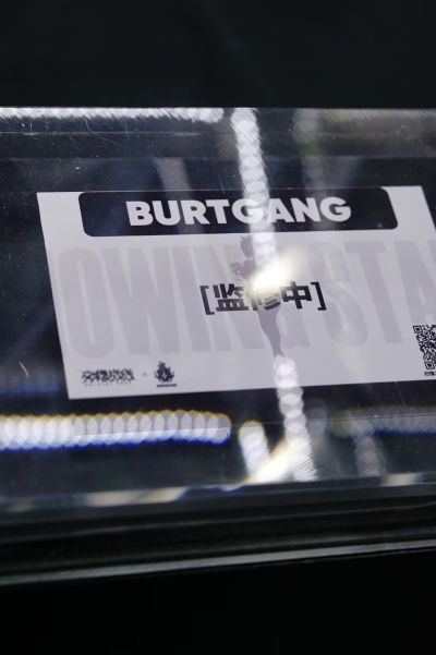 交错战线 布尔特根