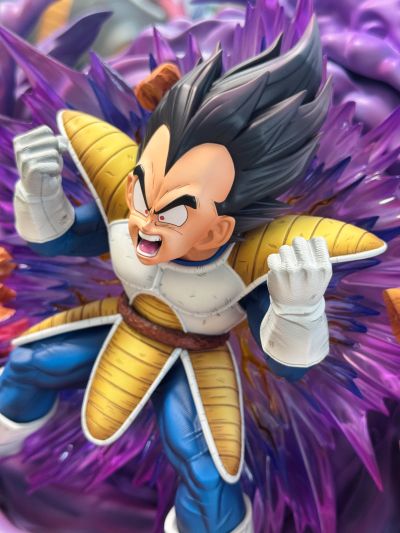 龙珠Z 贝吉塔 Dragon Ball Selection 