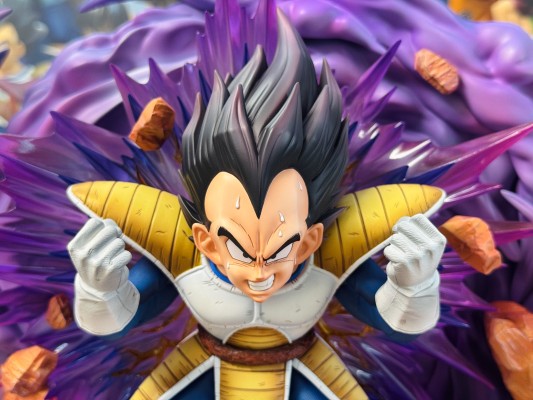 龙珠Z 贝吉塔 Dragon Ball Selection 