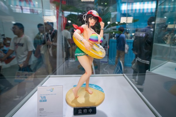 忍者大师 闪乱神乐 NEW LINK  飞鸟 泳装