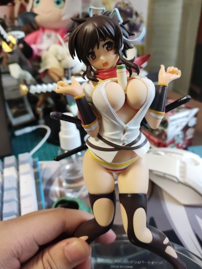 『闪乱神乐』 新乳素材使用 飞鸟