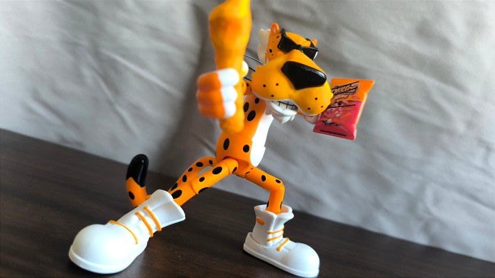 切斯特雄豹 猎豹