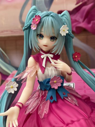 压泡面 初音未来 花仙子 波斯菊